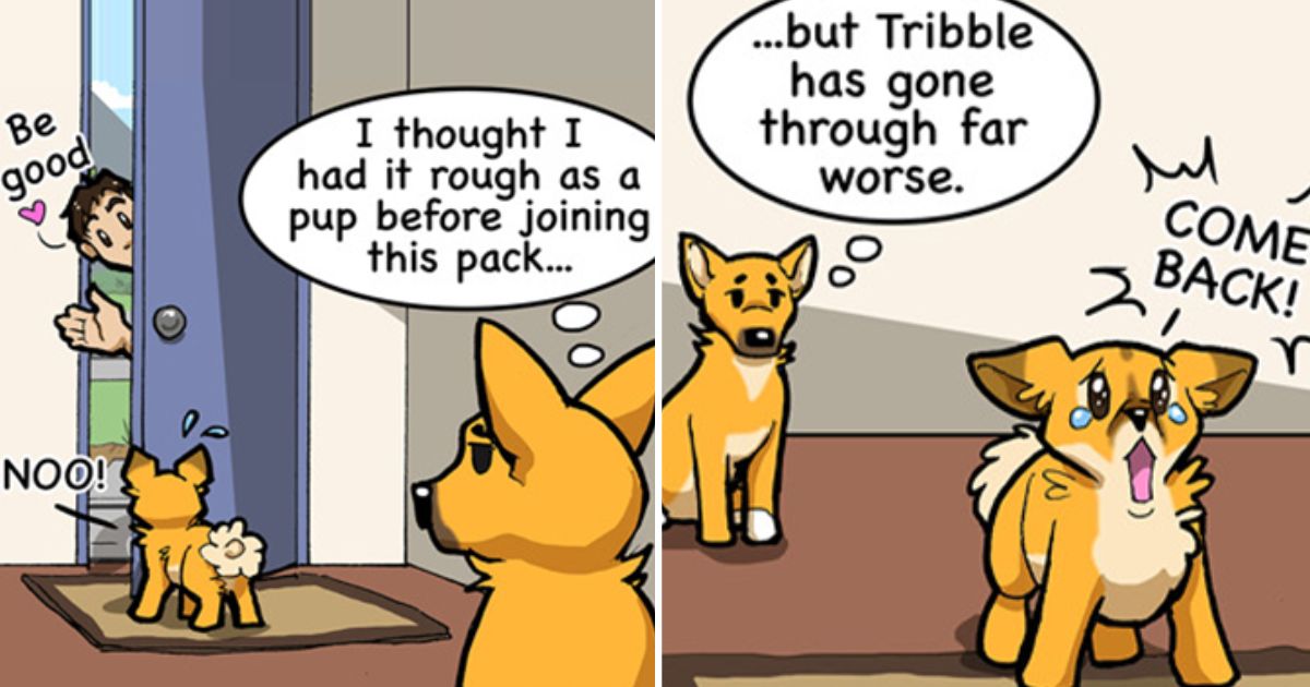 Dogs Love Bacon comics