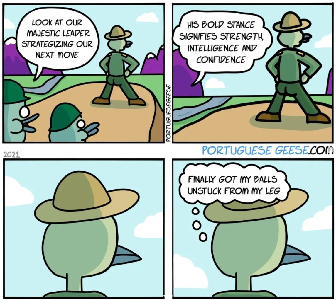 Portuguese Geese Comics