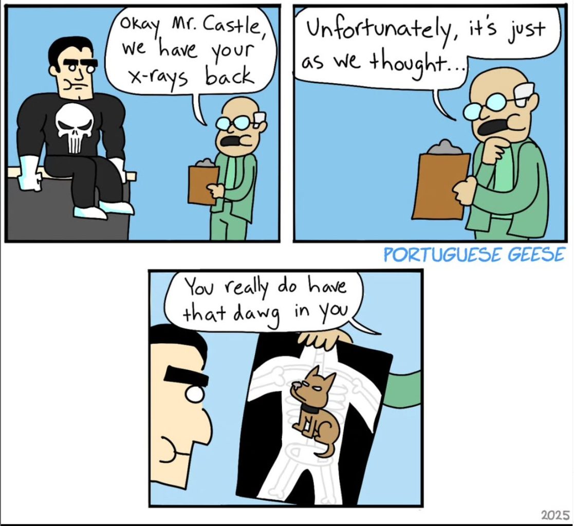 Portuguese Geese Comics