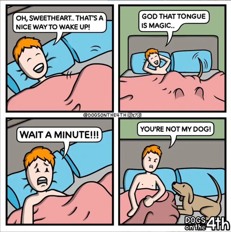 dogs on the 4th comics